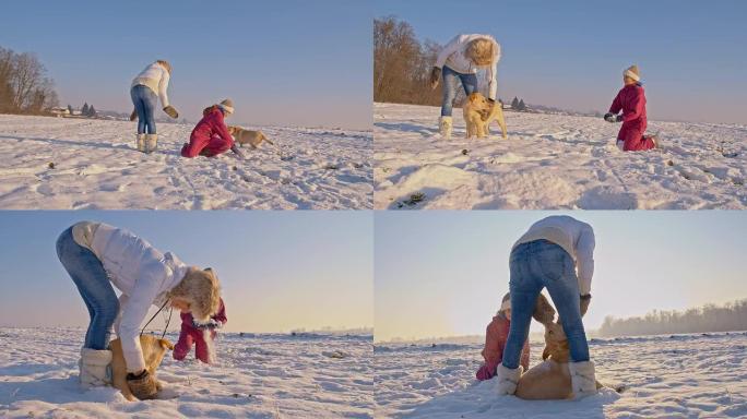 远景：与小狗在雪地里玩得开心