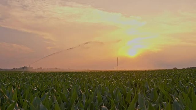 SLO MO在下午晚些时候灌溉玉米地