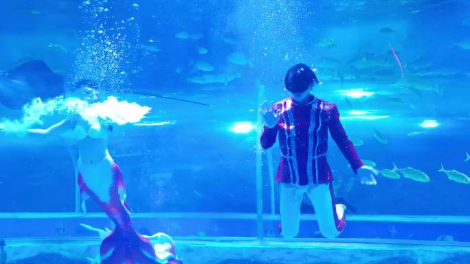 水族馆 海洋馆 人鱼表演 游动的鱼4K