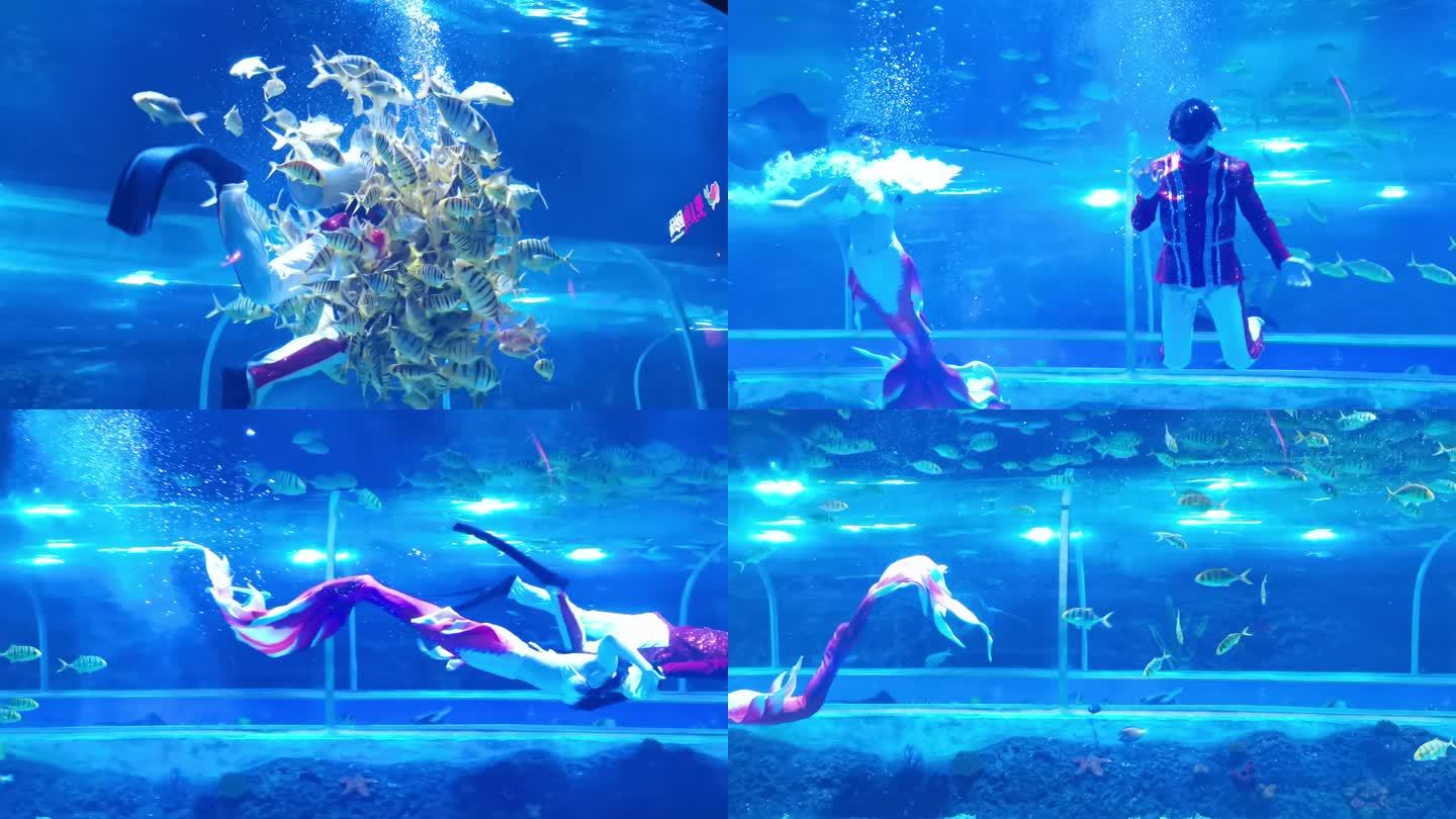 水族馆 海洋馆 人鱼表演 游动的鱼4K