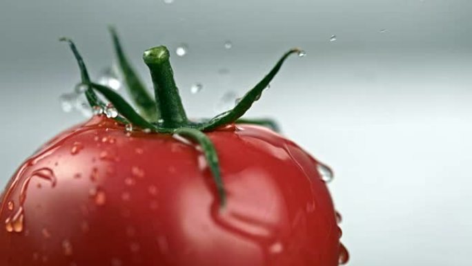 SLO MO水滴落在旋转的番茄上