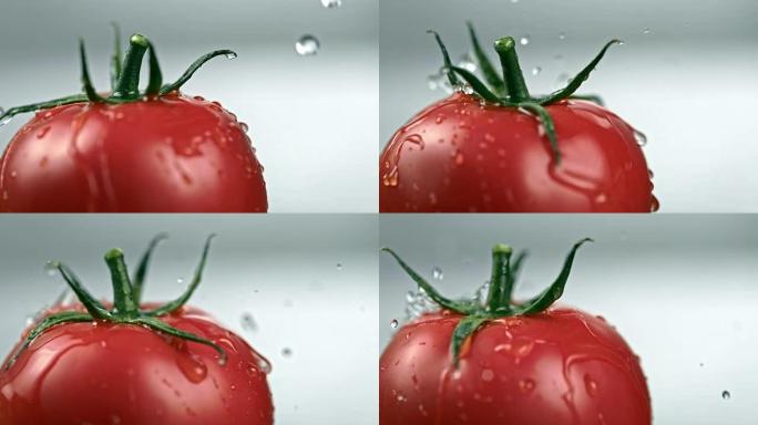 SLO MO水滴落在旋转的番茄上