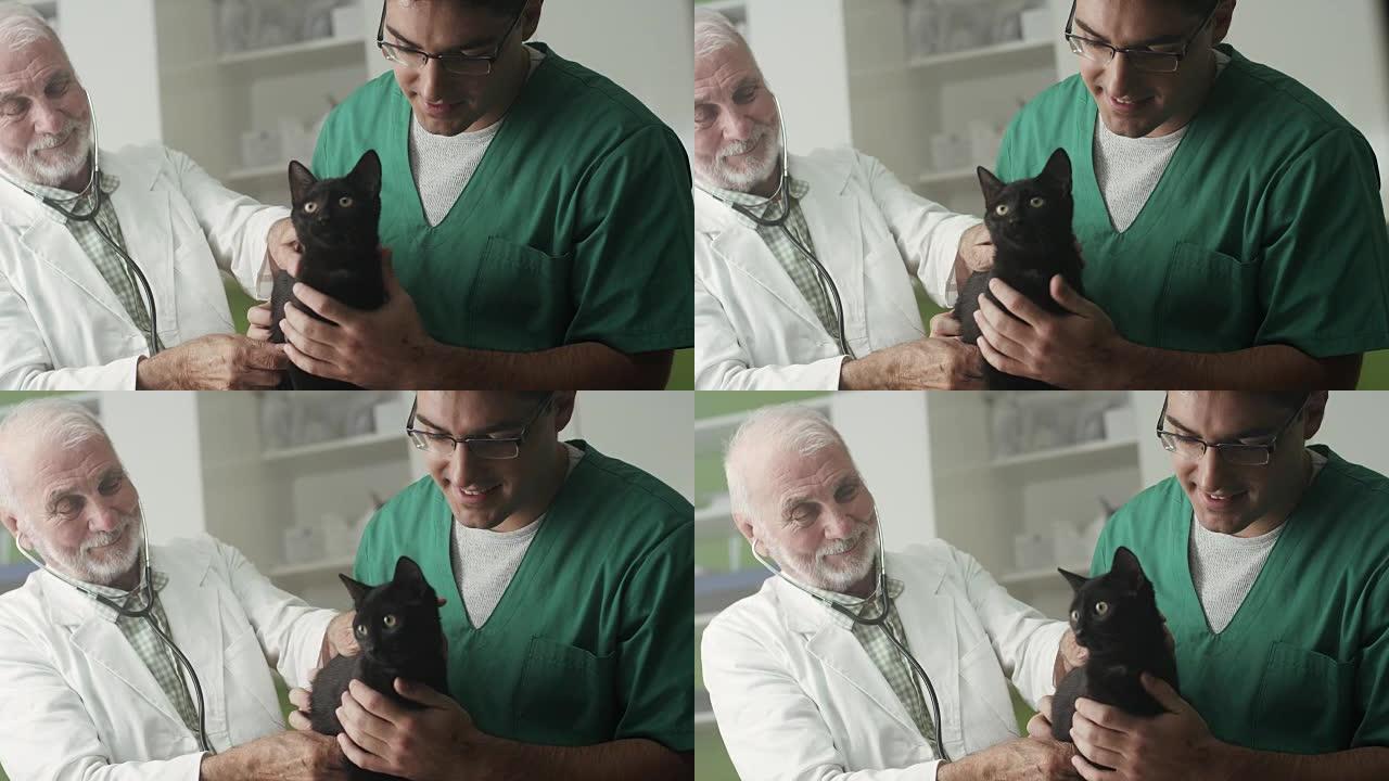 兽医诊所的黑家猫宠物医院外国人宠物医生国
