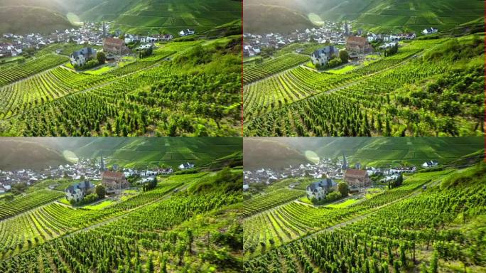 田园诗般的葡萄园德国