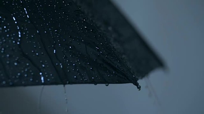 雨落在伞上，特写黑色雨伞雨水滴落雨滴特写