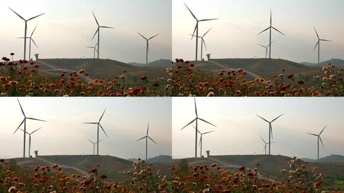 多莉在日落时拍摄了风力涡轮机农场