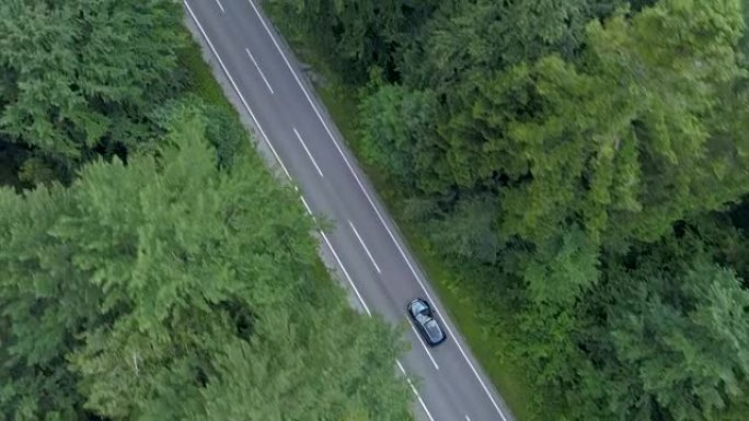 空中: 在黑暗的汽车上飞行，沿着空旷的道路行驶并穿过森林。