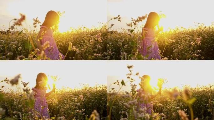SLO MO女孩与花在田野在日落