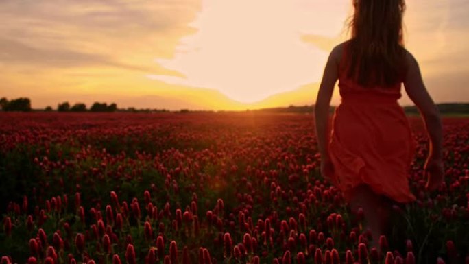 日落时分，SLO MO快乐的女孩在花丛中奔跑