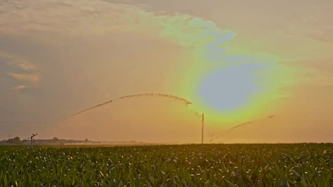 SLO MO农业洒水器喷洒水