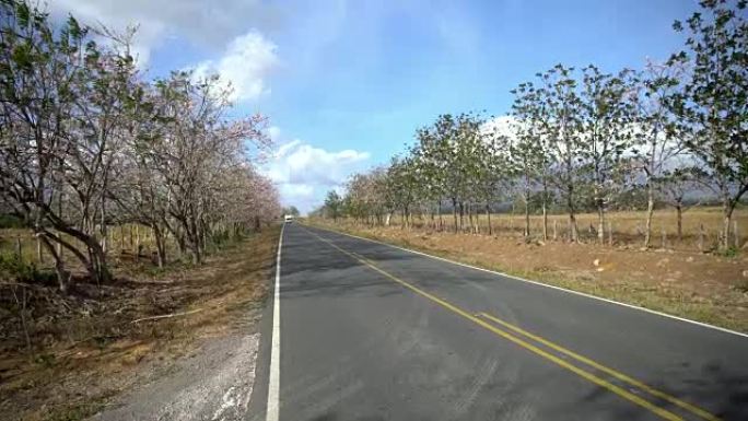 哥斯达黎加的WS林荫大道