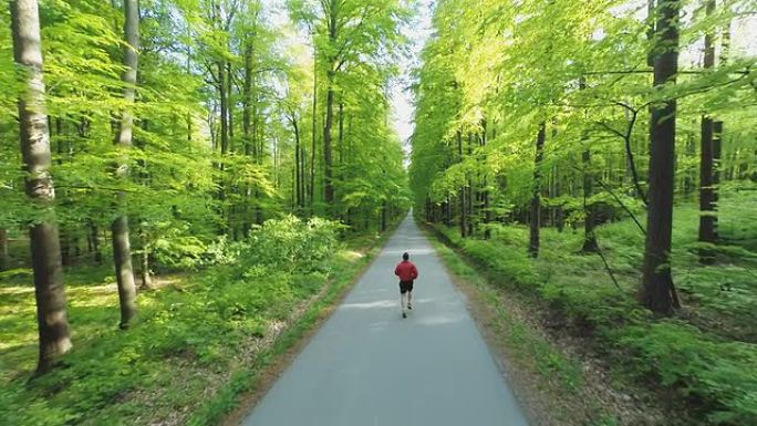 高清直升机: 男子沿着森林道路慢跑