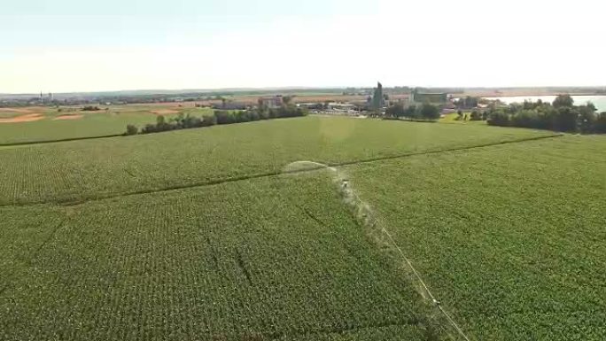 空中农业洒水器在玉米田上浇水