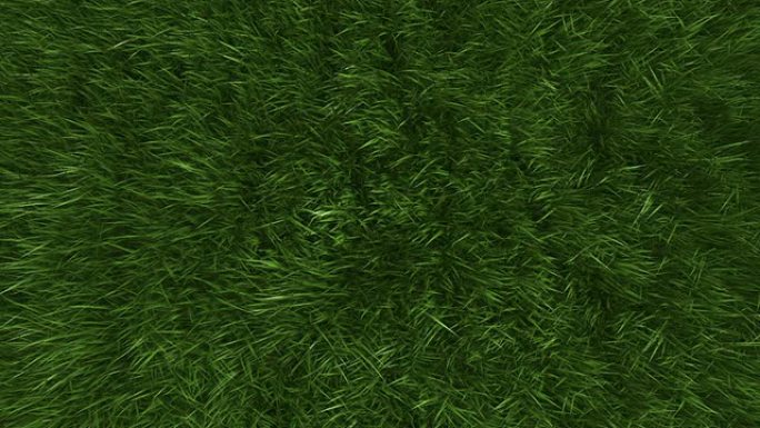 绿草如茵俯拍视角自然生态湿地绿色生机
