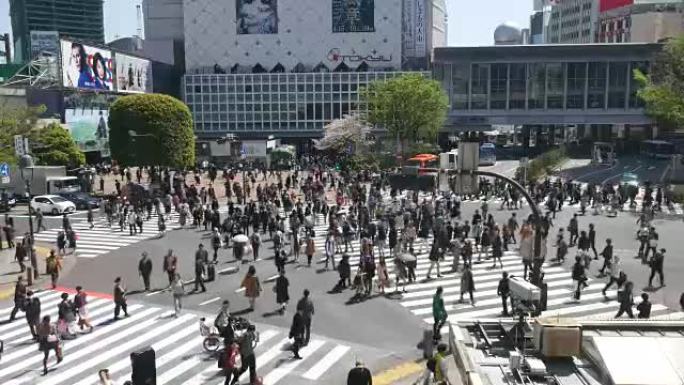 行人横渡涩谷横渡，人群