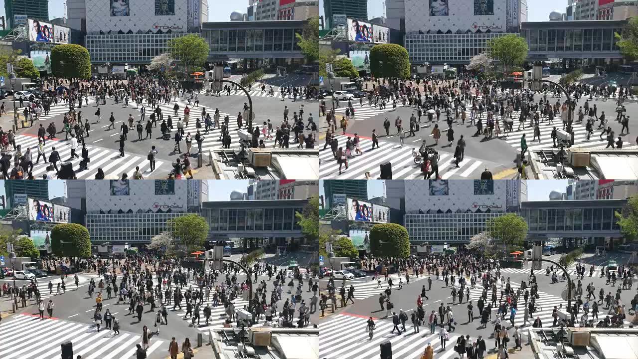 行人横渡涩谷横渡，人群