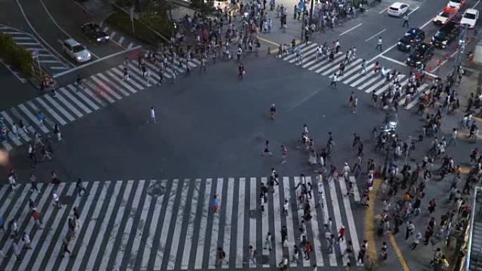 著名的涩谷行人拥挤人行横道的高角度拍摄，人群交叉，汽车在等待。晚上在明亮的大城市。