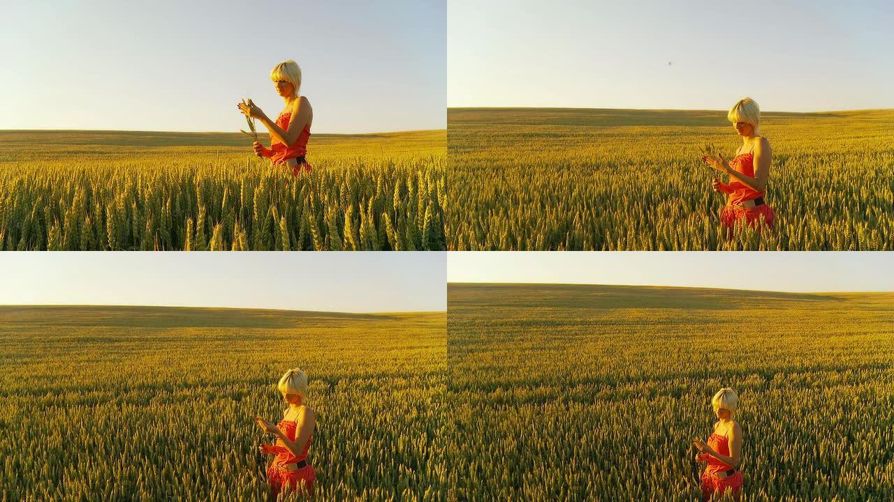 HD CRANE：在田野里寻找小麦的女人