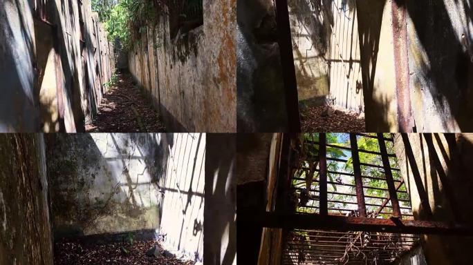 rainorest中部卡宴刑事殖民地的废墟。法属圭亚那