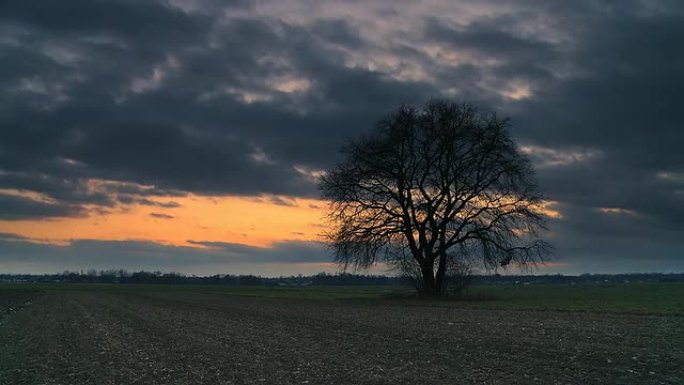 HD TIME-LAPSE:日落时有树的云景