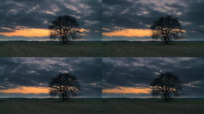 HD TIME-LAPSE:日落时有树的云景