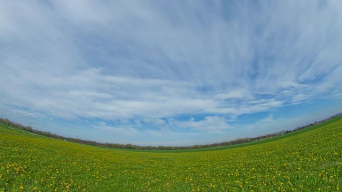 高清时间重叠：蒲公英田野上的云景