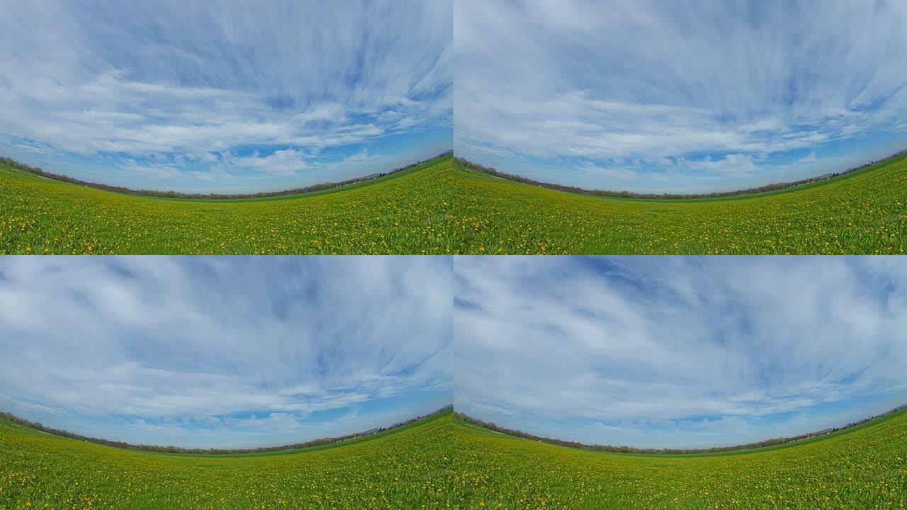 高清时间重叠：蒲公英田野上的云景