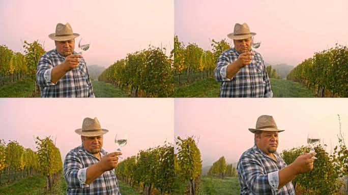 WS葡萄酒酿造师检查葡萄酒质量