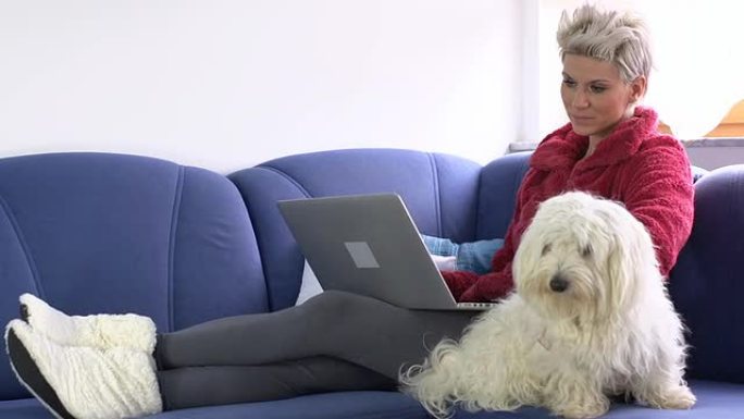 高清：女人用笔记本电脑和襁褓中的狗
