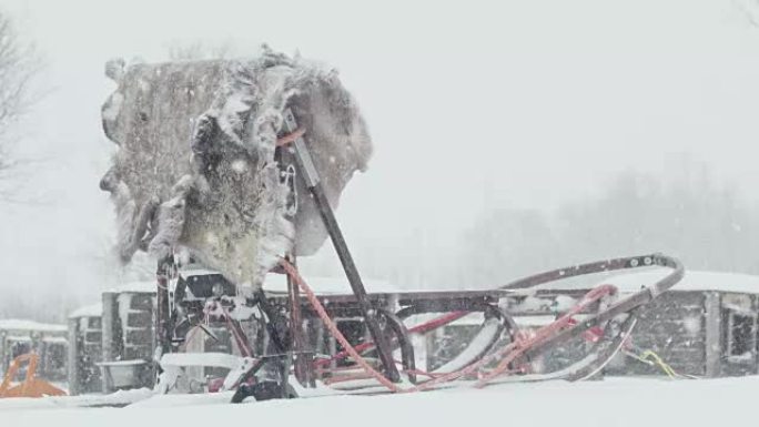 鹿皮挂在雪橇上