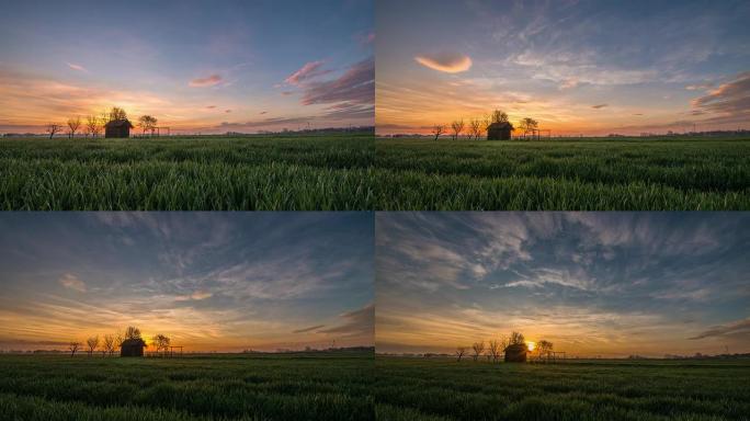 T/L 8K在日出时拍摄田野里的农舍