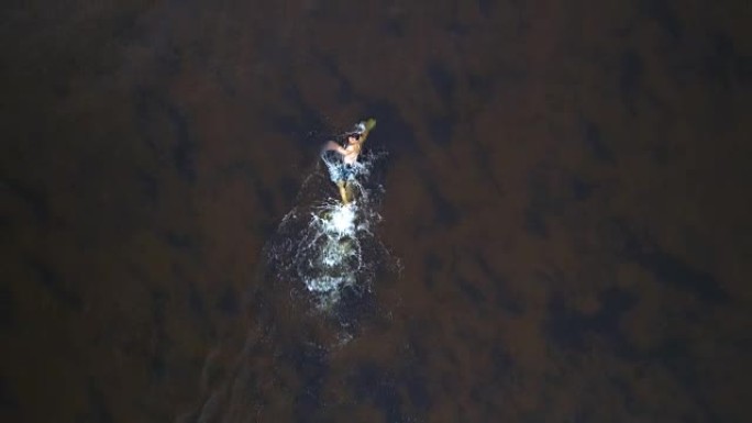 那个在水里游泳的人。四轴飞行器射击
