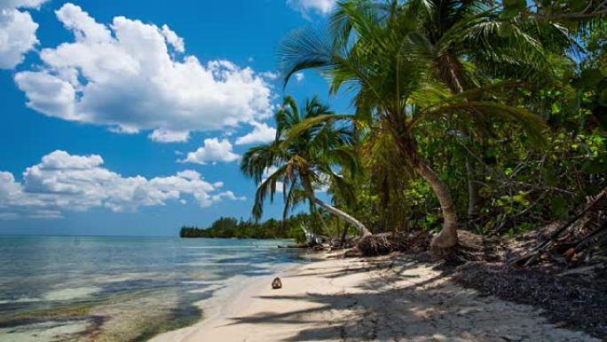 古巴: 旅行: 古巴猪湾的热带海滩