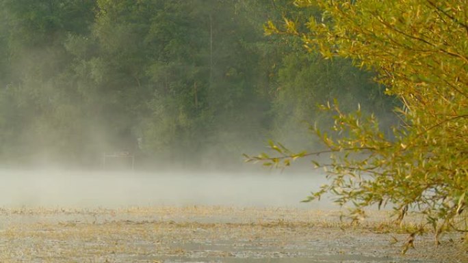 HD DOLLY：薄雾中的湖树