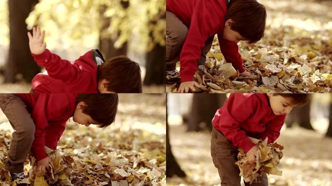 小男孩玩秋叶