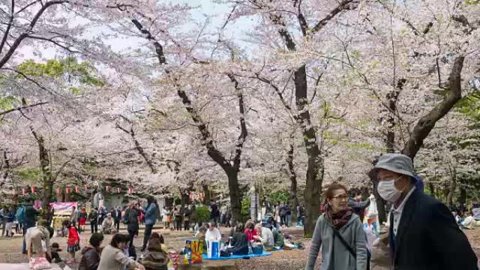 人们在日本东京的樱花中放松身心