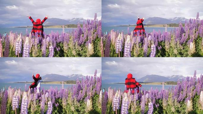 新西兰的旅游紫色薰衣草紫色兴奋红衣女子