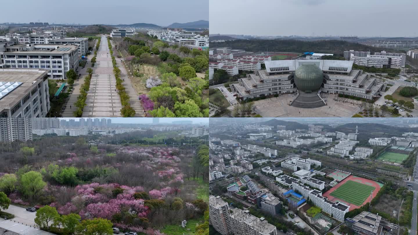 南京仙林大学城合集，仙林金鹰