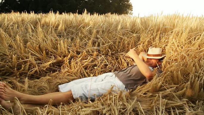HD：年轻农民在小麦中休息