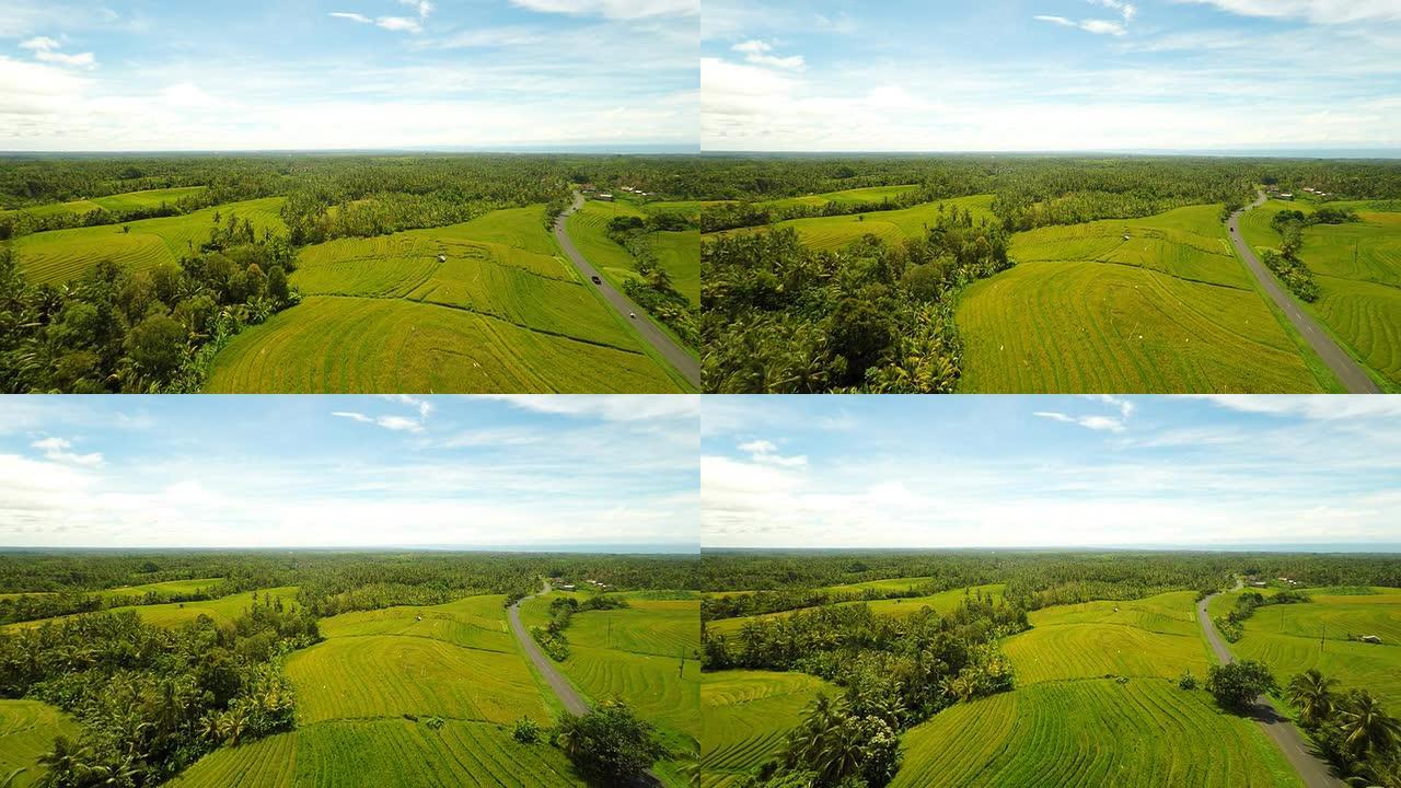 巴厘岛稻田沿线的空中公路