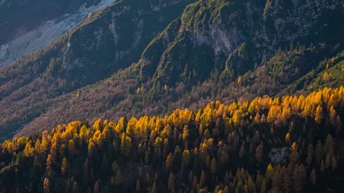 自然主题背景的山脉和变色树