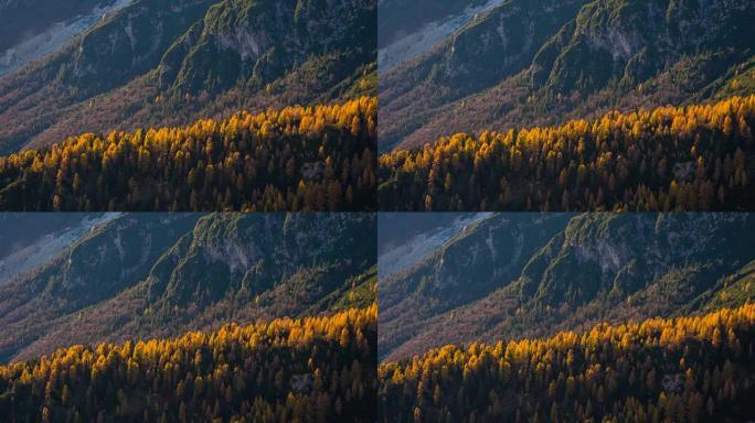 自然主题背景的山脉和变色树