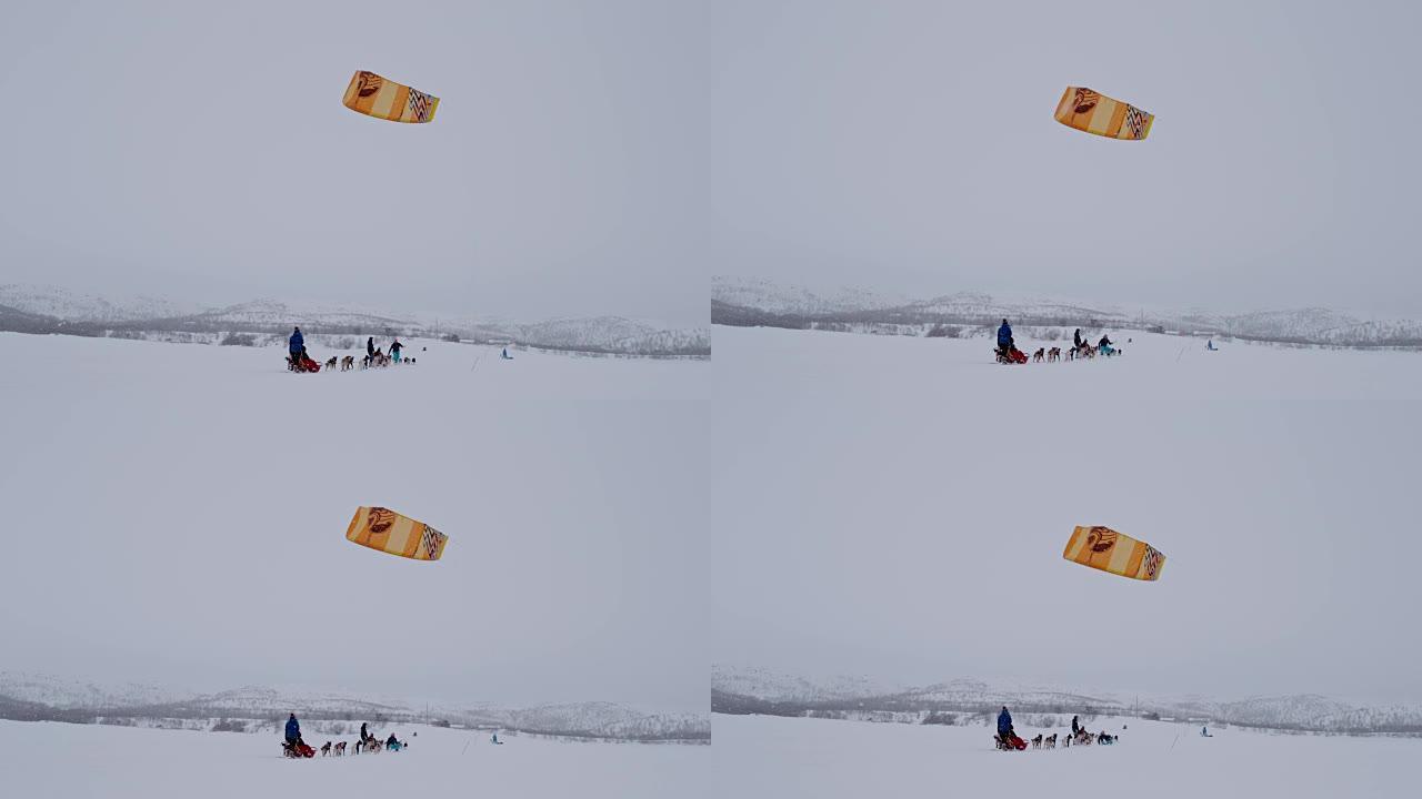 挪威的SLO MO狗拉雪橇和风筝冲浪
