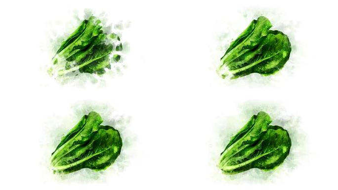 生菜沙拉图像的动画