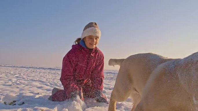 WS在雪地里与小狗玩耍