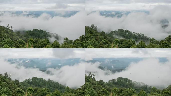 雾在雨林上移动，缩放时间流逝