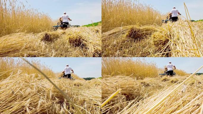 LS农民用收割机-粘合剂切割大麦