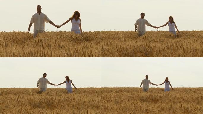 HD：情侣在小麦地里散步