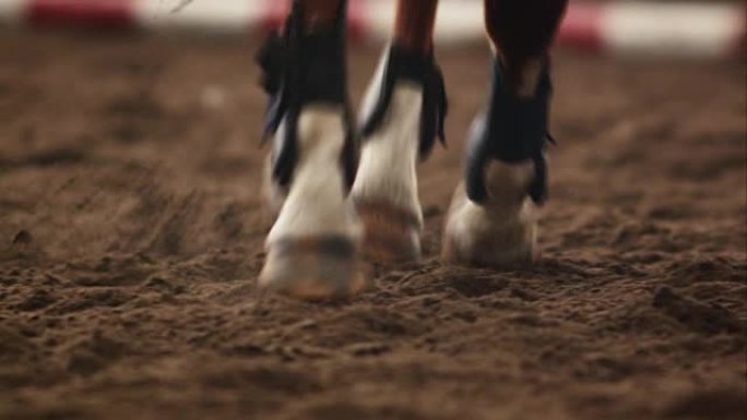 马在跑步时踢沙子骑马马蹄奔跑