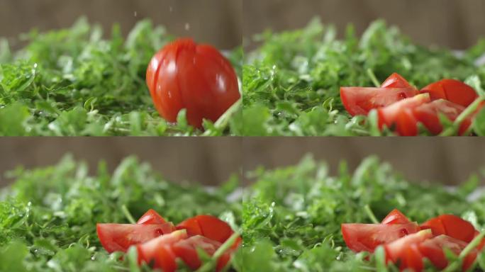 SLO MO湿切番茄掉落在芝麻菜上